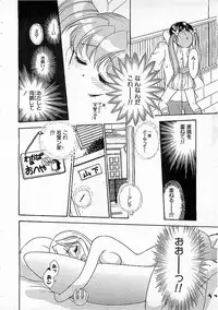 Colorful Bee 1999-10