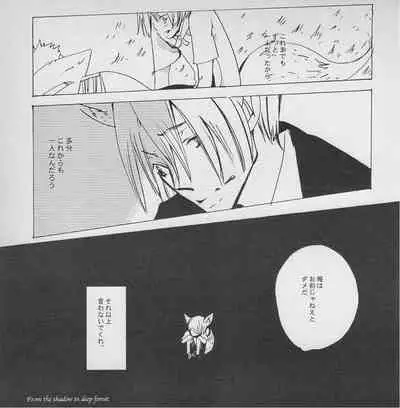 深い森の影から