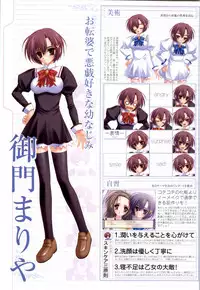 Otome wa boku ni koi shiteru Visual Fanbook (Otoboku)