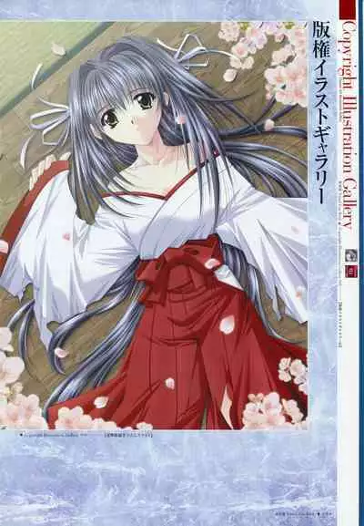 Natsukagura Visual Fan Book