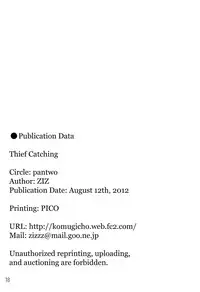 (C82) [pantwo (ZIZ)] Touzoku Tsumami | Thief Catching (Final Fantasy IX) [English] =SW=