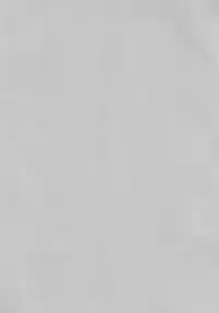 [NERCO (Koikawa Minoru)] Hatsujou Usagi to Asa made Okusuri Koubi (Touhou Project) [Digital]