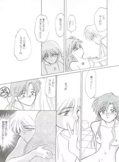 Shin Bishoujo Shoukougun 1 Reimei Hen