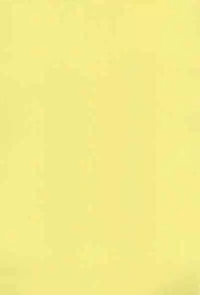 SYL - Spread Your Legs