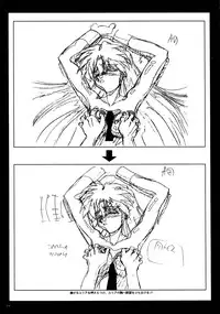 VIPER Series Official Artbook II