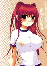 (SC29) [HONEY BUMP, Platina Blonde (Nakatsugawa Minoru, Mizutama)] Kahlua Milk (ToHeart 2)