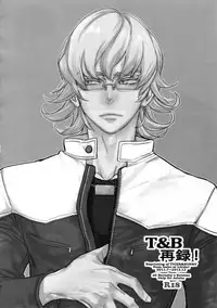 (C88) [Isshou ni Ichido! (Mokkori)] T&B Sairoku! (TIGER & BUNNY)