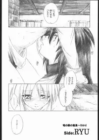 (C63) [Toko-ya (Kitoen)] Side:RYU - Ryuu no Me no Fuukei ~ third (Breath Of Fire)
