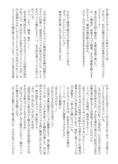 Touhou Babumi Goudou