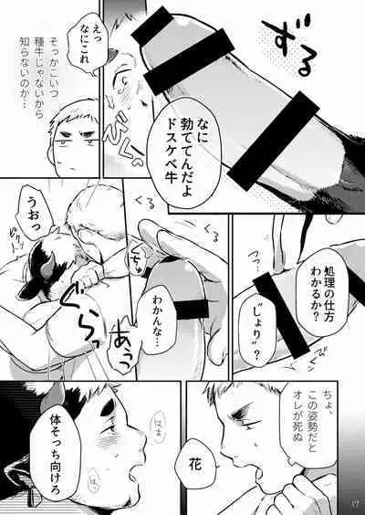 Ippai Dashite ne Hana-chan