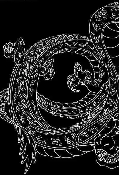 Dragonball Fan Book SPECIAL