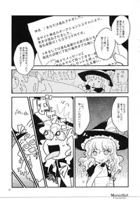 (C74) [Shoujo Zukin (Hatomugi Munmun)] Marecollect (Touhou Project)