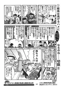 (C67) [Dynamite Honey, Intendou, Iwashi (various)] Kamedes (Kochira Katsushika Ku Kameari Kouen Mae Hashutsujo)