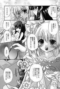 Comic Papipo 2007-09