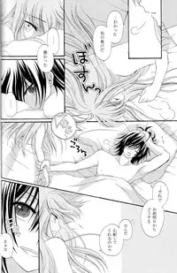 [APRICOT TEA] The last love letter presented to my dear only partner. (Code Geass)