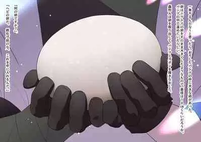 The work of the Insect Detective