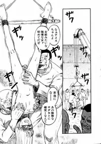 Comic Hime Dorobou 2006-11