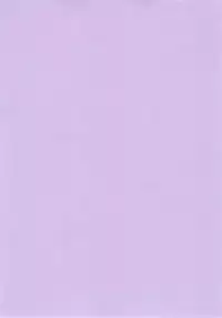 (Lyrical Magical 10) [Kamogawaya (Kamogawa Tanuki)] Nines SIDE-F (Mahou Shoujo Lyrical Nanoha)