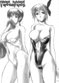 (C58) [Hellabunna (Iruma Kamiri)] INU/MURASAKI (Dead or Alive)