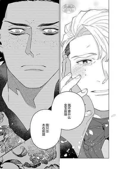 Hoshikuzu no Debutante | 玫瑰香的命定之星