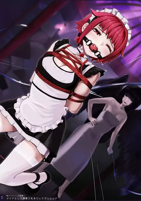 Mahou Shoujo Western Girls Premium Illust Shuu