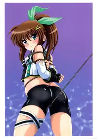 (C91) [Thirty Saver Street (Maki Hideto, Sawara Kazumitsu, Yonige-ya no Kyou)] Storage Bind 5 (Mahou Shoujo Lyrical Nanoha)