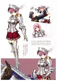 Walkure Romanze More & More Visual Fan Book