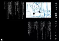 (C86) [Chroma of Wall (saitom)] Gensoukyou Inkou Kirokushuu (Touhou Project)