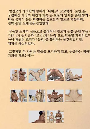 [Yamakawaya] Koukaishi to Koukogakusha no Sennyuu Roku (One Piece) [Korean]