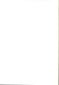 (C95) [Nekokaburi (Kuronomiki)] Lust Order ~Beast-kei Marshmallow Kouhai~ (Fate/Grand Order) [Chinese] [黑锅汉化组]