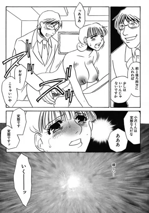 Ijou Seiyoku Mesuinu Toshite