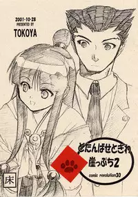 [Toko-ya (Kitou En)] Dotanbasetogi wa gake ppuchi 2 (Ace Attorney)