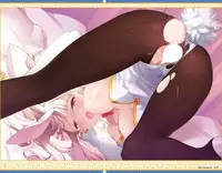 Eiyuu*Senki GOLD Visual Fanbook