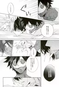 (SPARK12) [sainome (Sunako)] Hariko no Tora no Aishikata (Boku no Hero Academia)