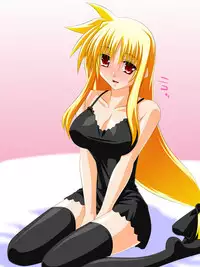 [Fake gate] Shoufu Fate-san (Mahou Shoujo Lyrical Nanoha)