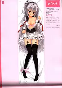 Dakimakura Cover Gashuu Bishoujo Game Hen