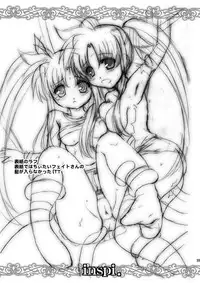 (C79) [inspi. (Izumi Rin)] W Fate-san (Mahou Shoujo Lyrical Nanoha)