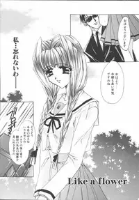 [Sakurai Aya] My Sweet Plum