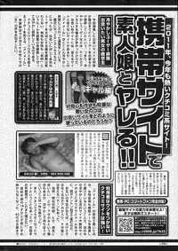 COMIC Shitsurakuten 2011-02