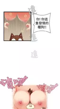 姐妹丼饭 Sister rice Chinese Rsiky