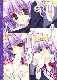 (SC65) [Matsurija (Nanaroba Hana)] Imouto wa Onii no Banken [Chinese] [空気系☆漢化]