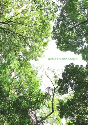 Oba-san no Karada ga Kimochi Yosugiru kara <<Part 2>> ~Boku no Oba-san wa Chou Meiki Datta~