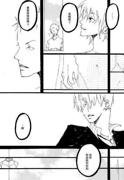 Heliotrope |日光菊