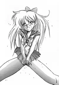 [MISTY MIDNIGHT (Shirasaka Biyu)] Twilight (Bishoujo Senshi Sailor Moon)