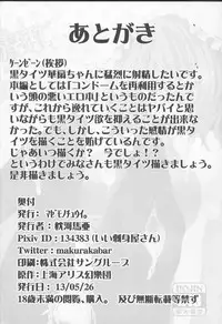 (Reitaisai 10) [Mazemono Chuui. (Makura Cover)] Inran Pink ni Hiningu wa Mottainai! (Touhou Project)