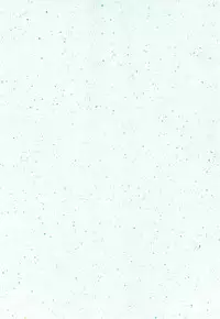 (SC33) [Takitate (Kantarou)] Injuu 4 Kagami Zigoku Hen (Meitantei Conan)