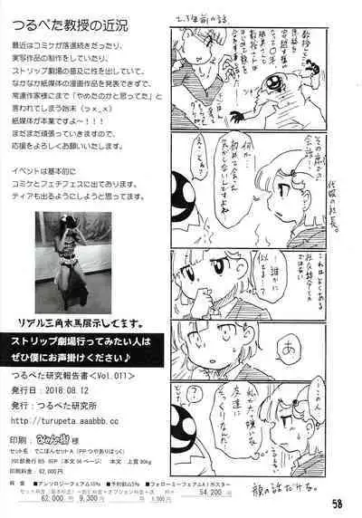 Tsurupeta Kenkyuu Houkokusho 011