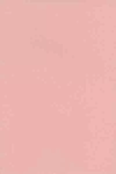 Shinjin AV Joyuu Totoki Airi Fan no Otaku Houmon de Paizuri & Fudeoroshi