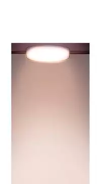 [PINKO] Scandal of the Witch Ch.1-30 (English) (Ongoing)