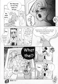 [Tenny Le Tai] [Sailor Moon] Silky Moon (one translated story)